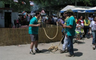P1010548