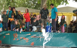 Imagen 154