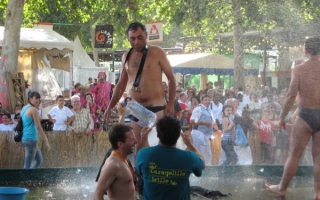 Imagen 179